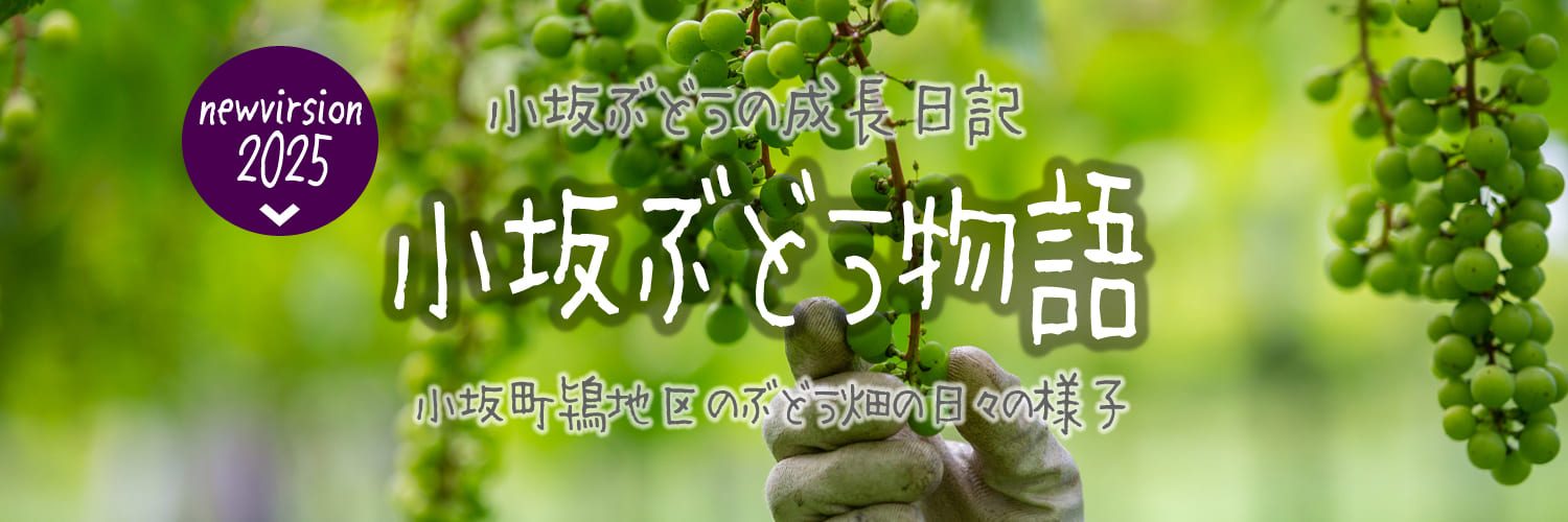 KOSKA_SP_HAEDER1500-500_250414 KOSKA_SP_HAEDER1500-500_250414