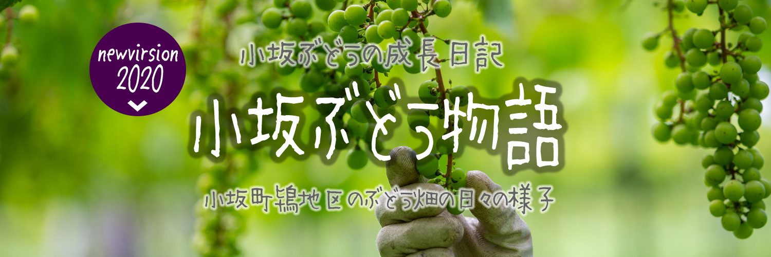 kosaka_SP_header200529.jpg kosaka_SP_header200529.jpg